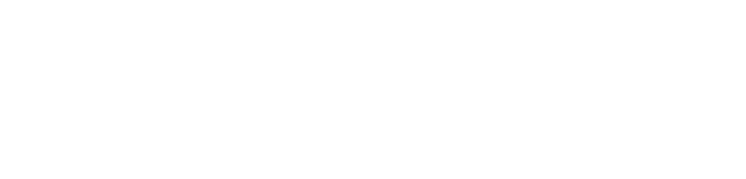 nexora logo